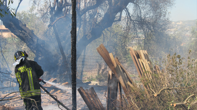 Vigile del fuoco spegne l'incendio degli ulivi