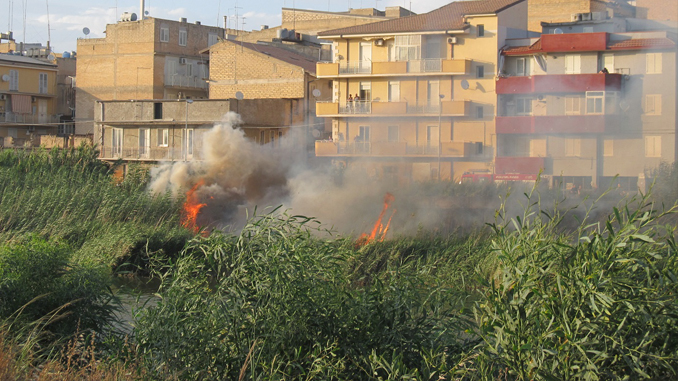 Incendio argine Salso