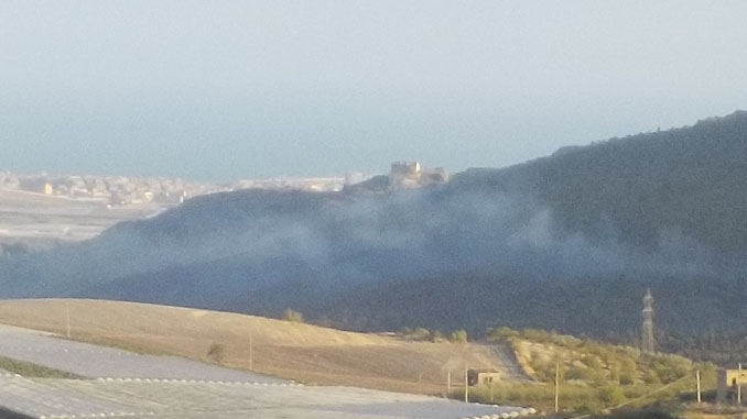 Incendio bosco Sant'Oliva