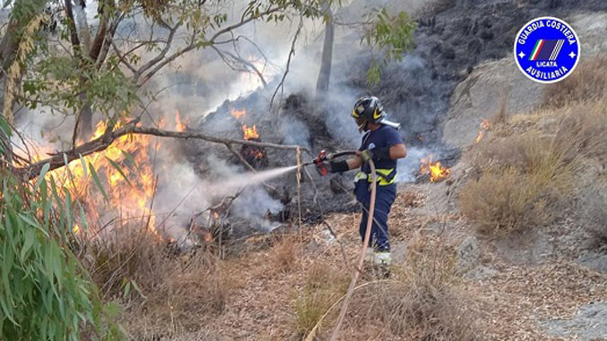 Bosco gibbesi in fiamme