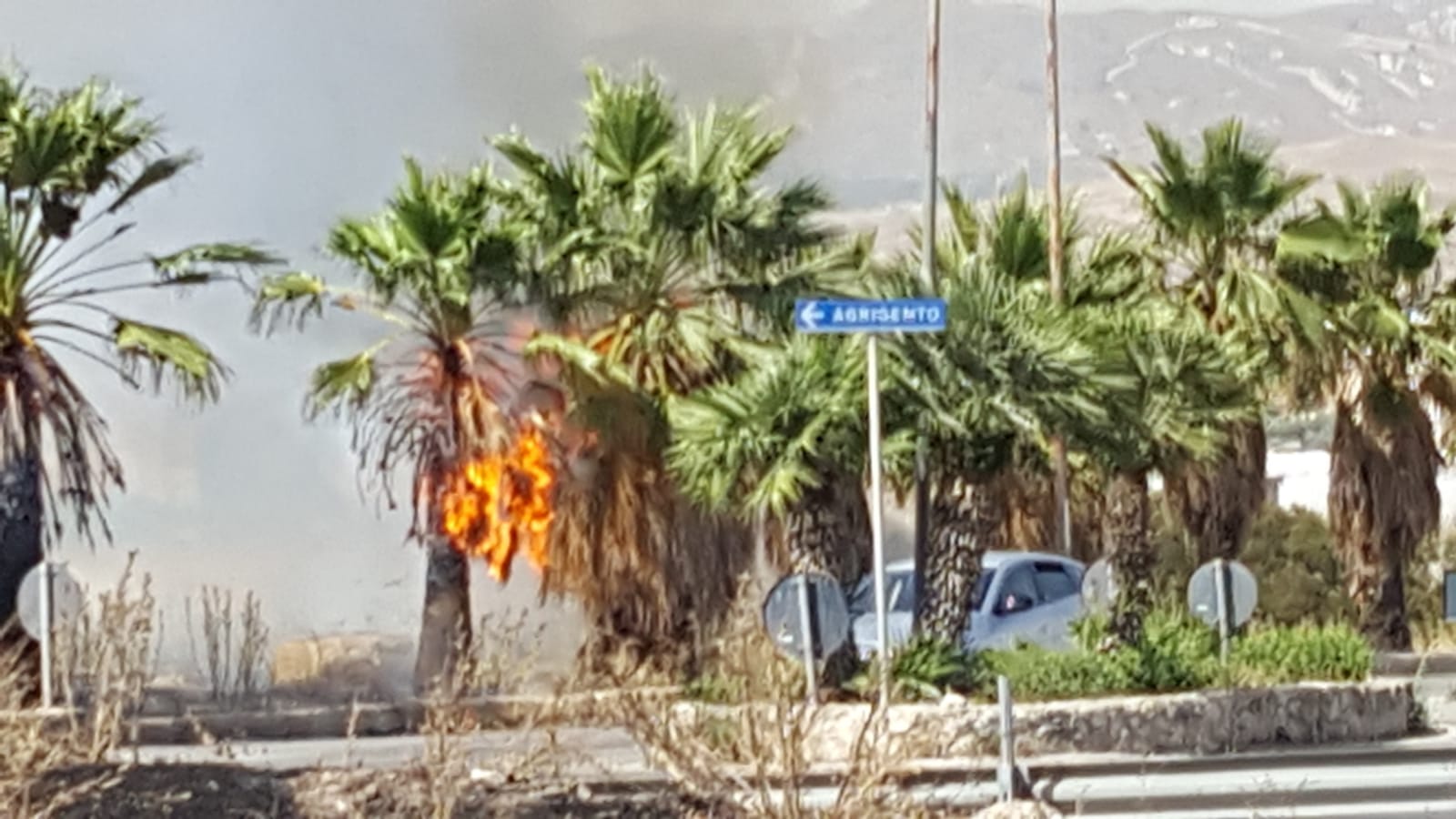 Incendio alberi