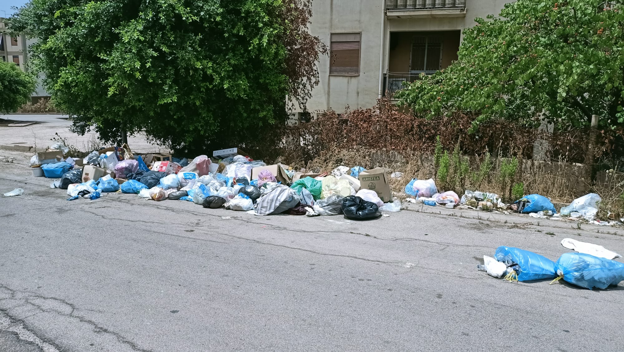 Rifiuti al Villaggio dei Fiori