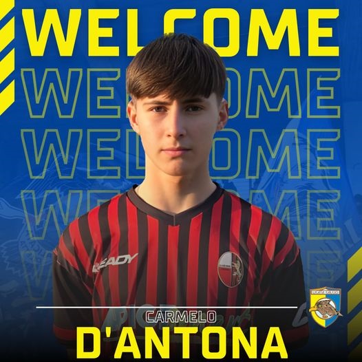 D'Antona 