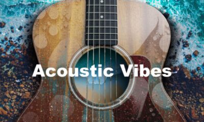 Acoustic Vibes