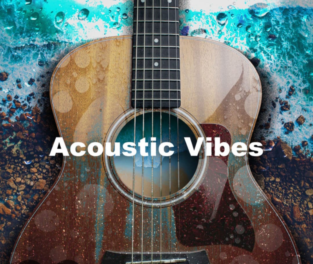 Acoustic Vibes