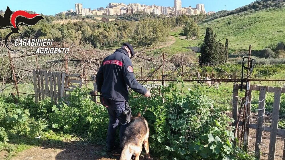 Carabinieri