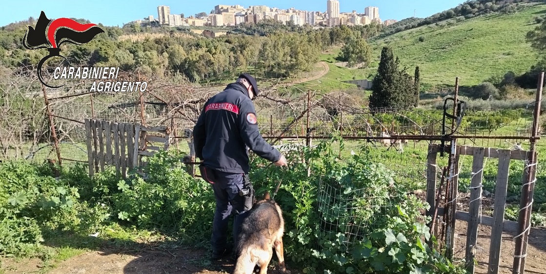 Carabinieri