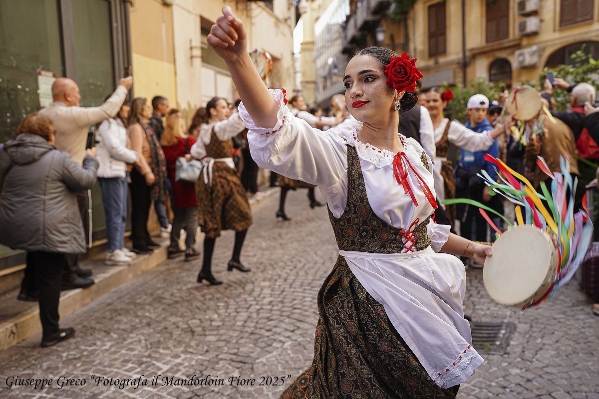 Fotografa il mandorlo